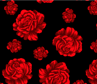 Chitão Preto com Rosas Vermelha