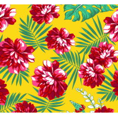 Chita Estampada RRR