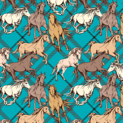 Tricoline Digital Cavalos LIQUIDA
