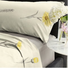 Microfibra Flor do Dia 2,40m  LIVE