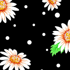 Chita Margarida Fundo Preto RRR Chita Margarida Fundo Preto RRR