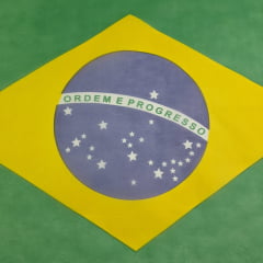 Tecido TNT Bandeira do Brasil 95x70