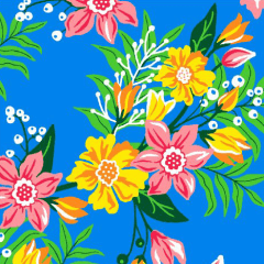 Chita Azul