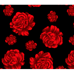 Chitão Preto com Rosas Vermelha