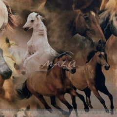 Tricoline Cavalos Crioulo