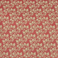 Tricoline Arabesco Salmão LIQUIDA